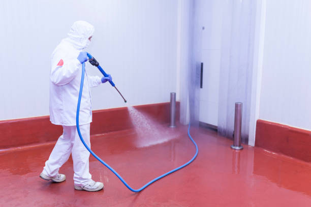 Best Sidewalk and Walkway Cleaning  in Federal Y, WA